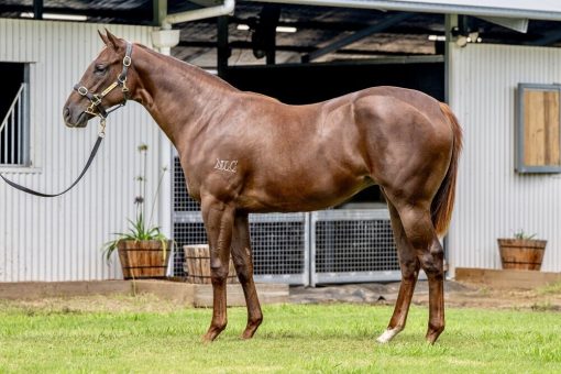 Winning Rupert - Classy Hussy